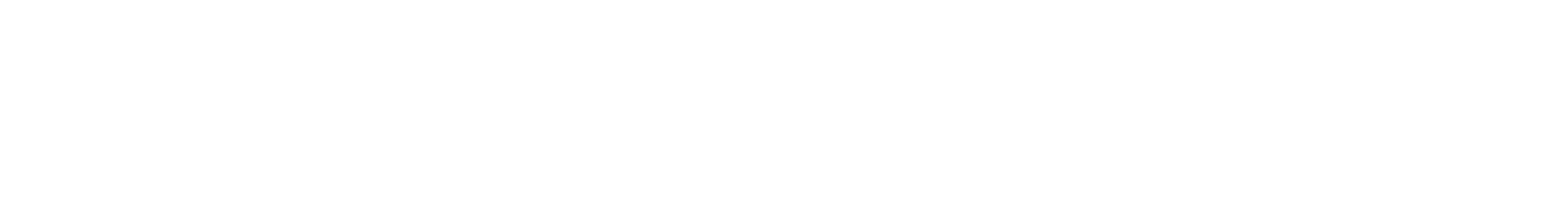 Waysyders Wordmark